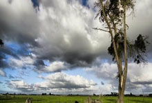 广东宏远今天最新消息-爱游戏网址登录